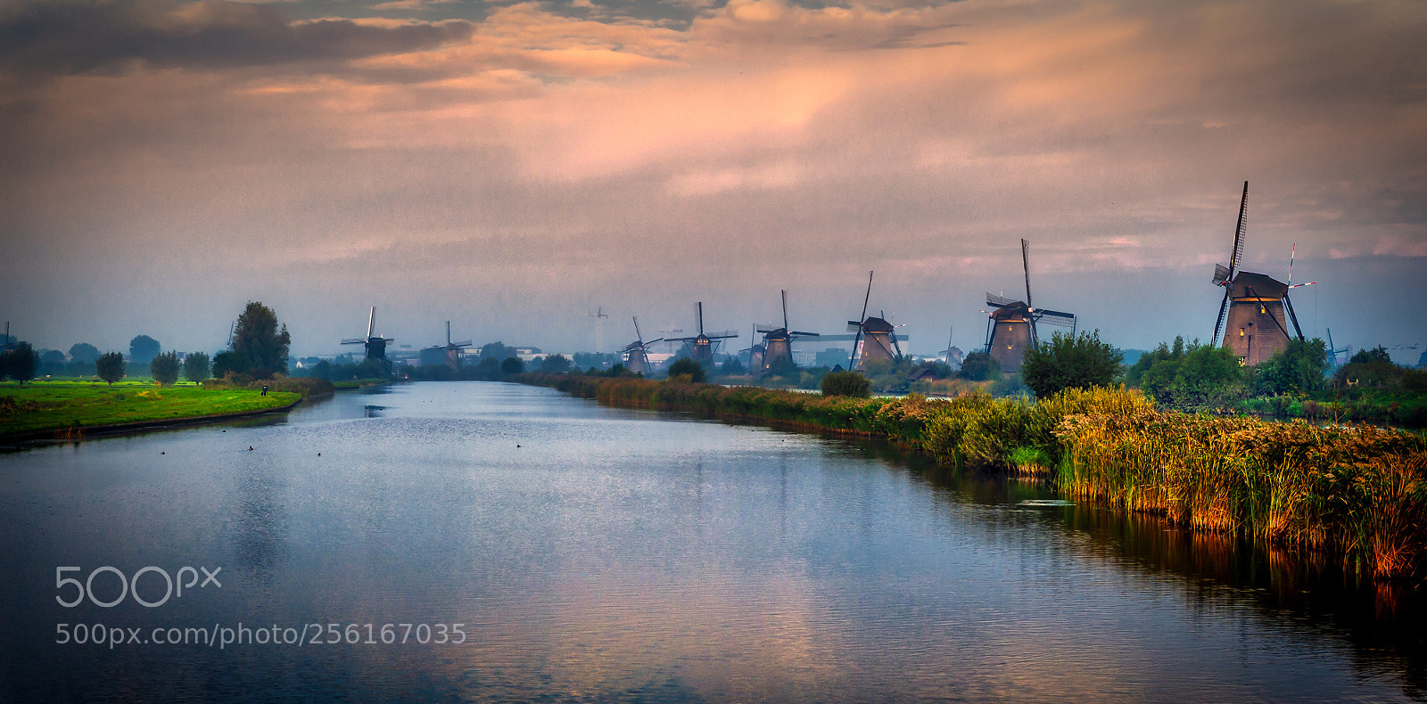 Nikon D4S sample photo. Kinderdijk ! photography