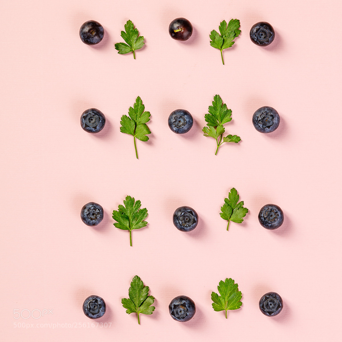 Canon EOS 5DS R sample photo. Pattern of blueberry and photography