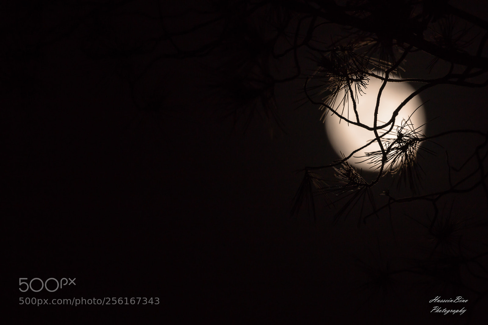 Canon EOS 70D sample photo. The moon photography
