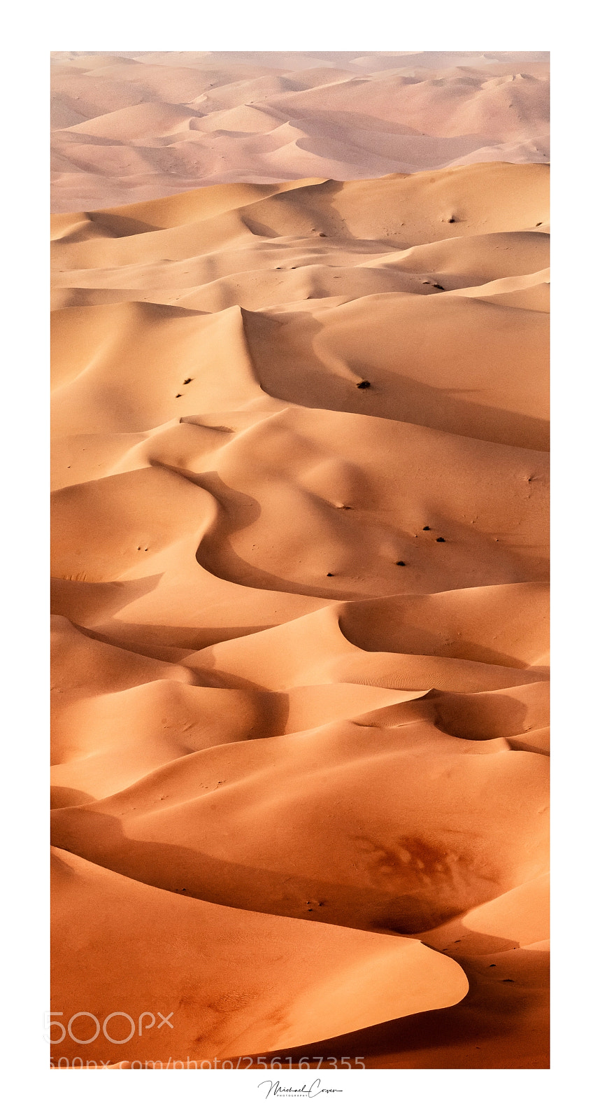 Canon EOS 5D Mark IV sample photo. Vertical photography
