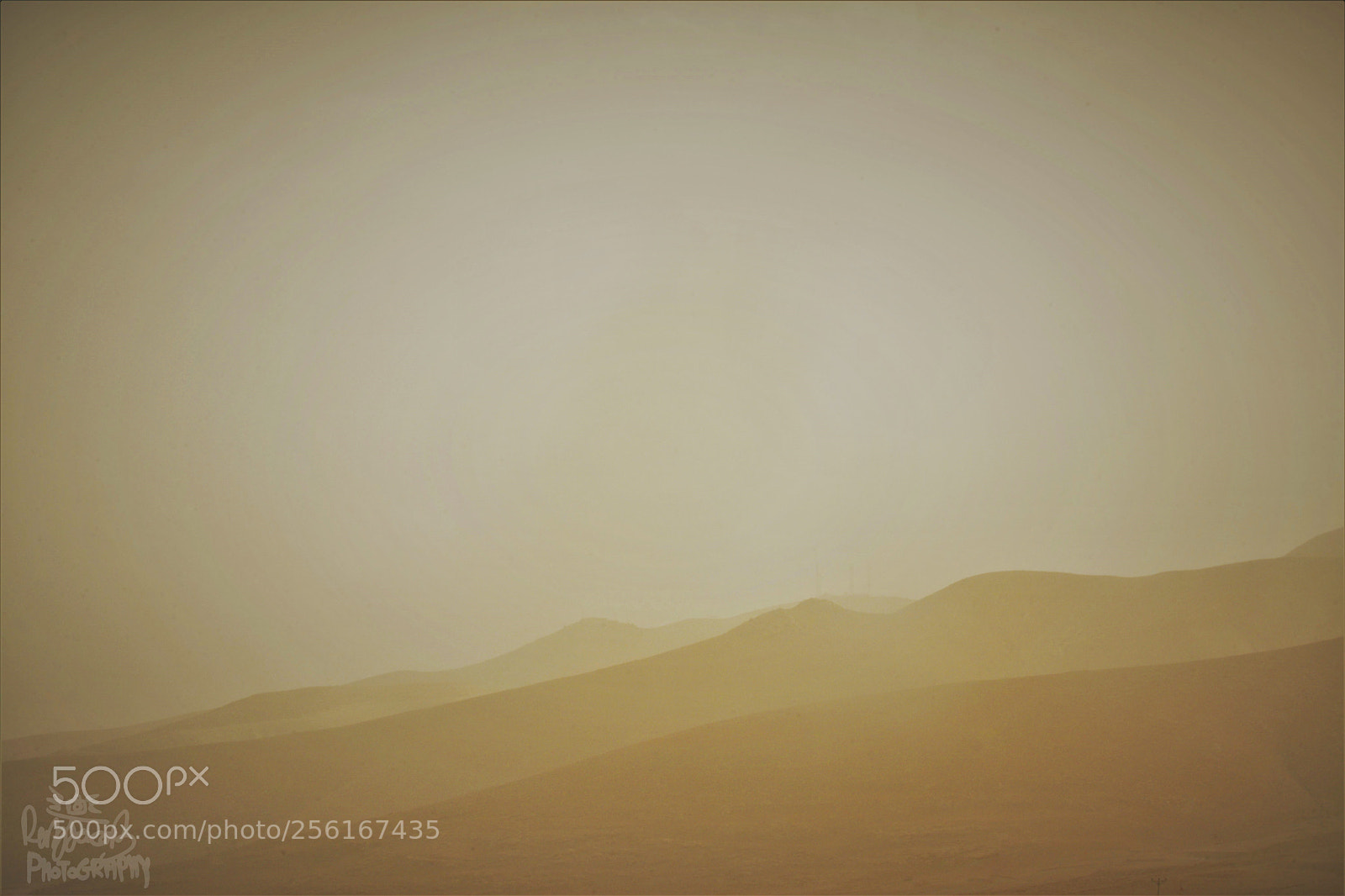 Nikon D7100 sample photo. Yellowstorm photography