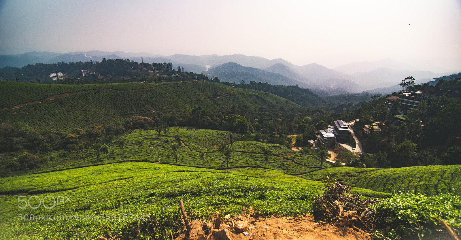 Nikon D7100 sample photo. Tea fields of munnar photography
