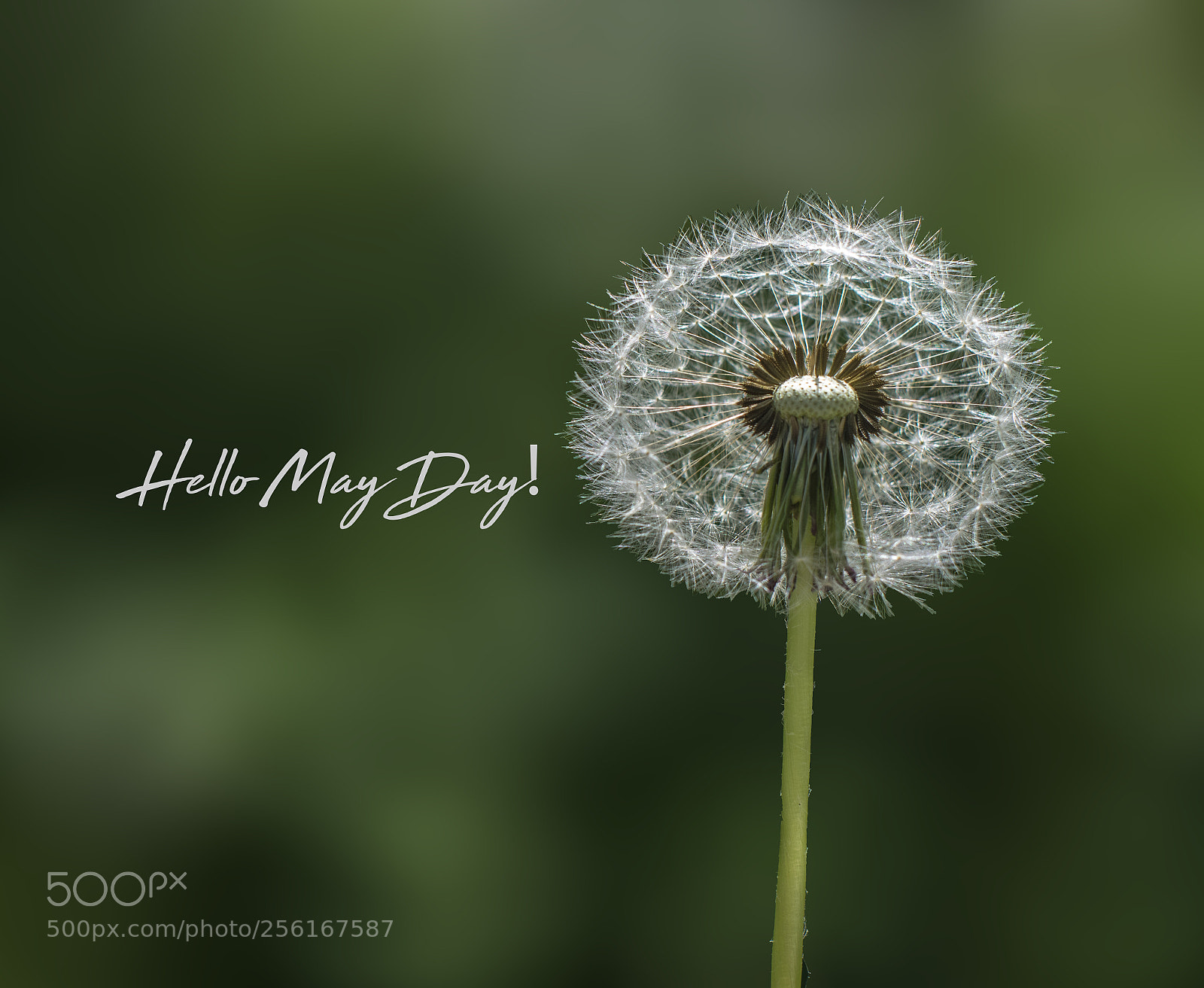Nikon D5300 sample photo. Untitled photography