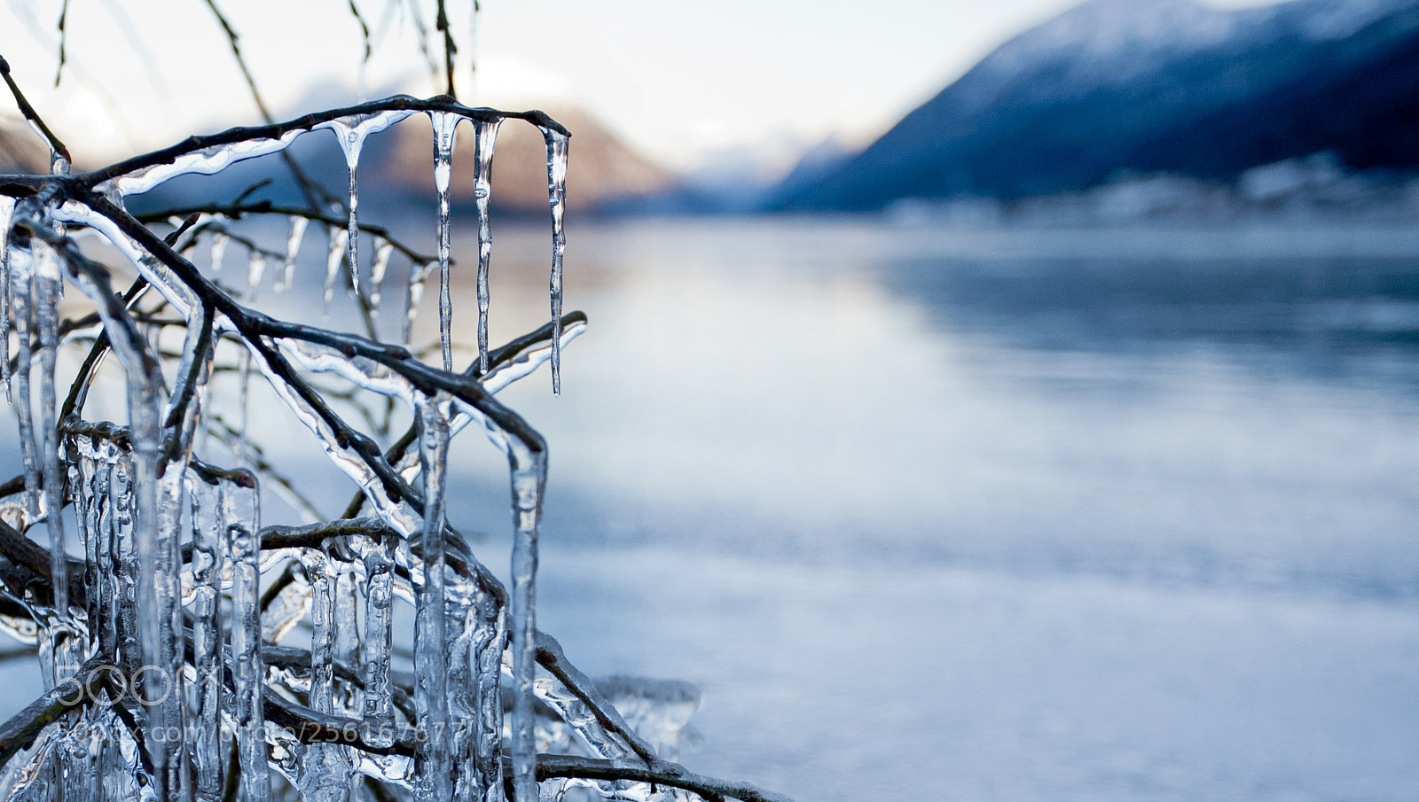 Canon EOS 5D sample photo. Winter photography