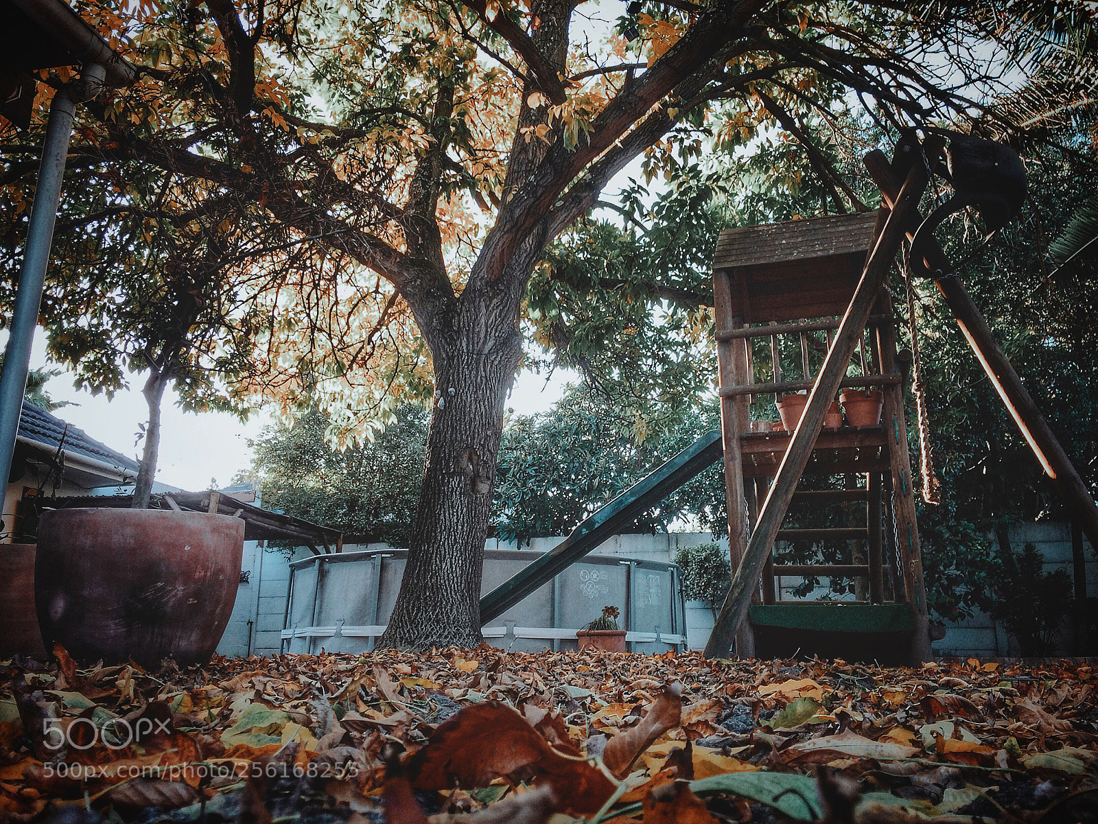 Apple iPhone 5s sample photo. Autumn in our backyard photography