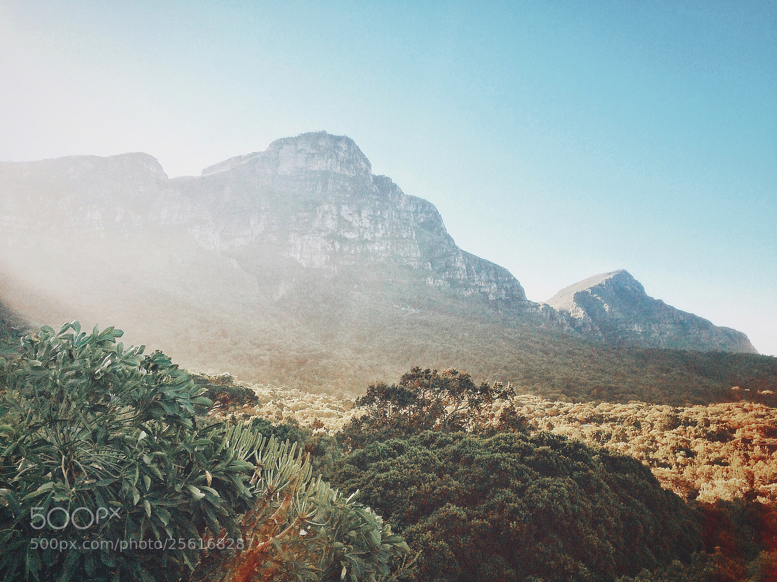 Apple iPhone 5s sample photo. Jurrasic park photography