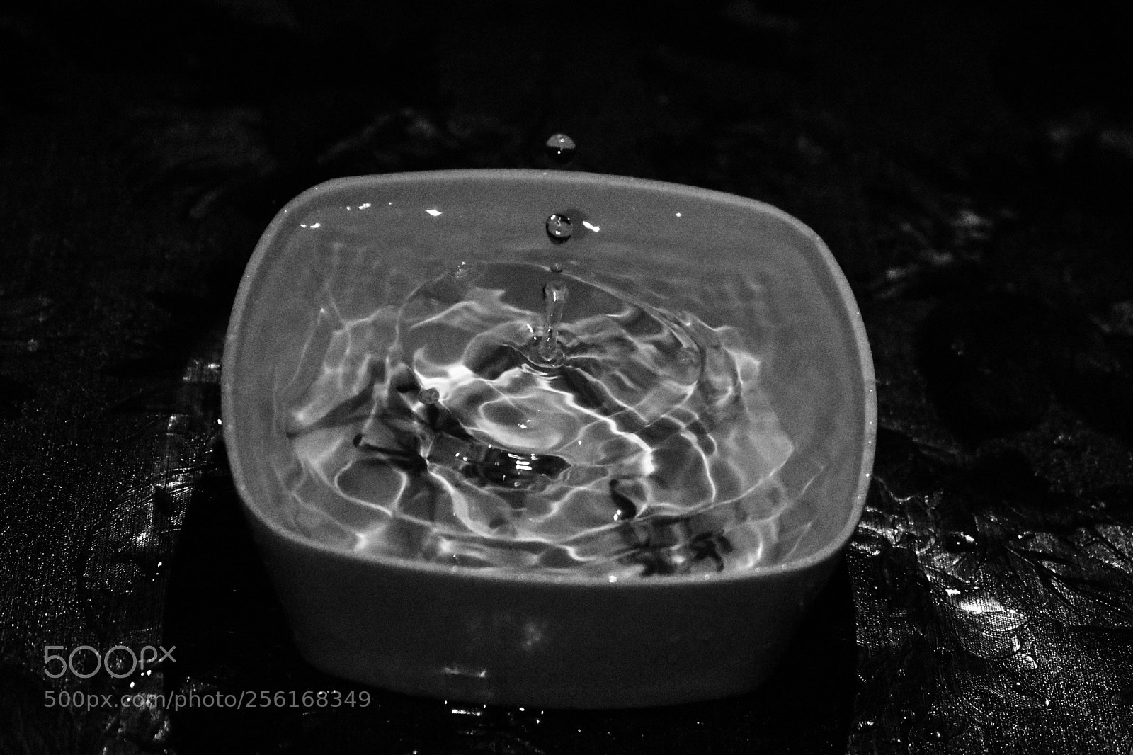 Nikon D3400 sample photo. Untitled photography