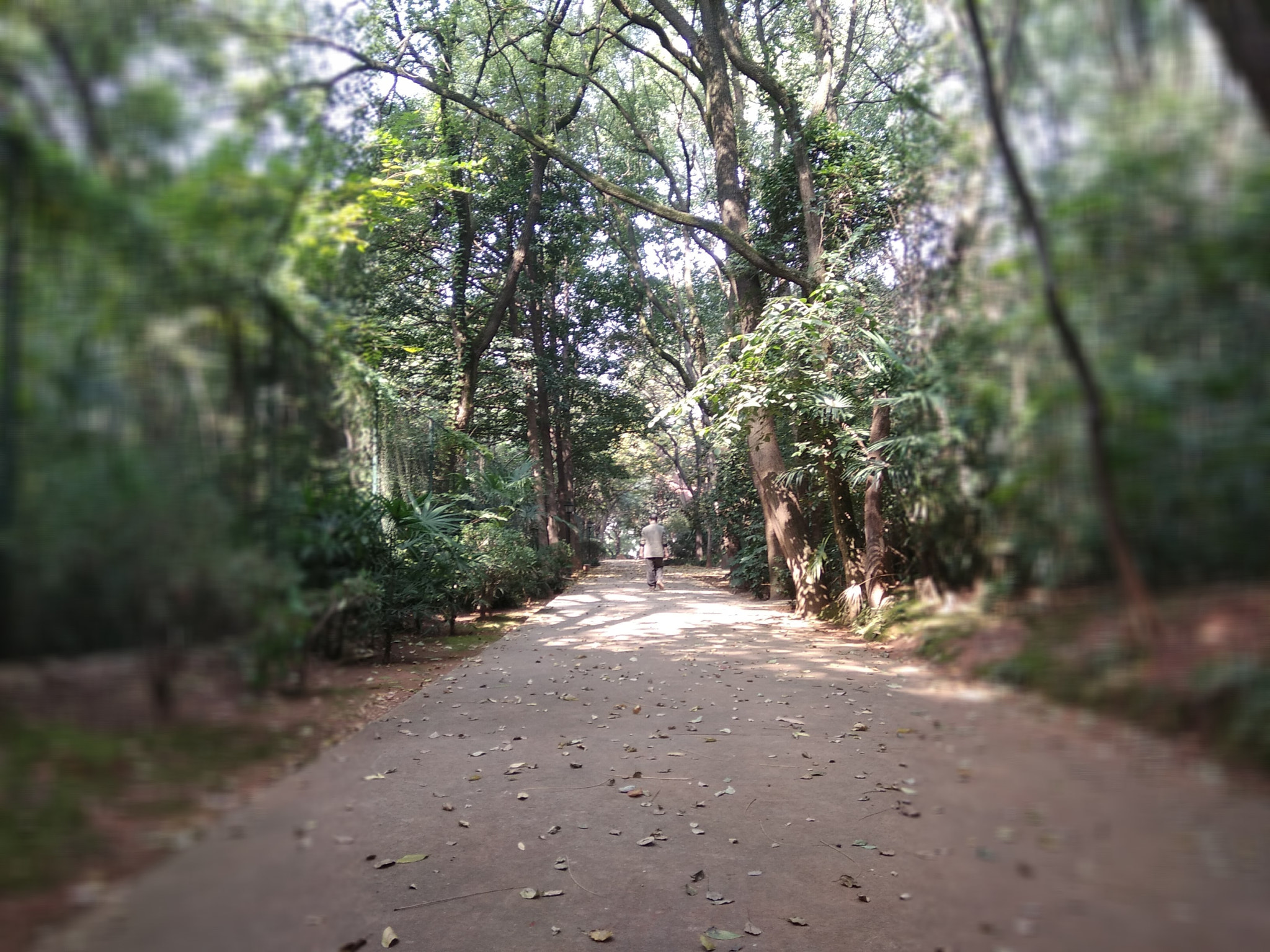 Xiaomi Redmi Note 4X sample photo