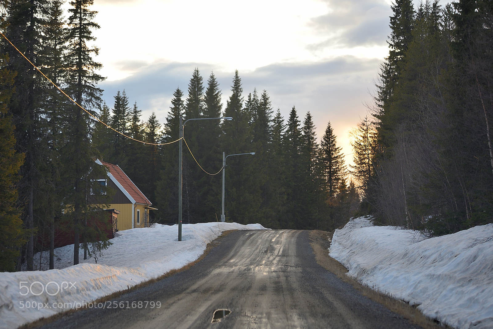 Nikon D610 sample photo. Lapland drive photography