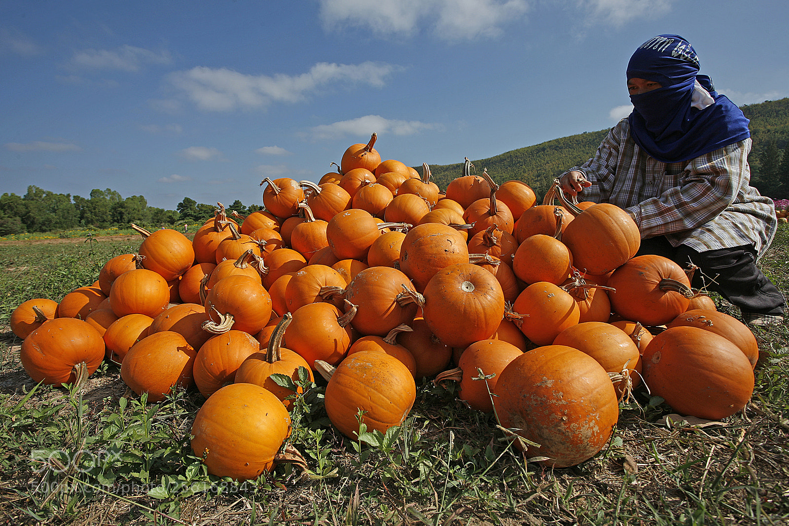Canon EOS 5D sample photo. Farmer photography