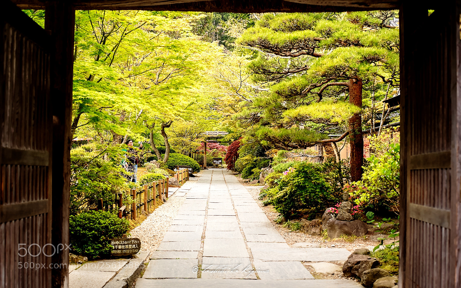 Nikon D750 sample photo. Entuuji temple photography