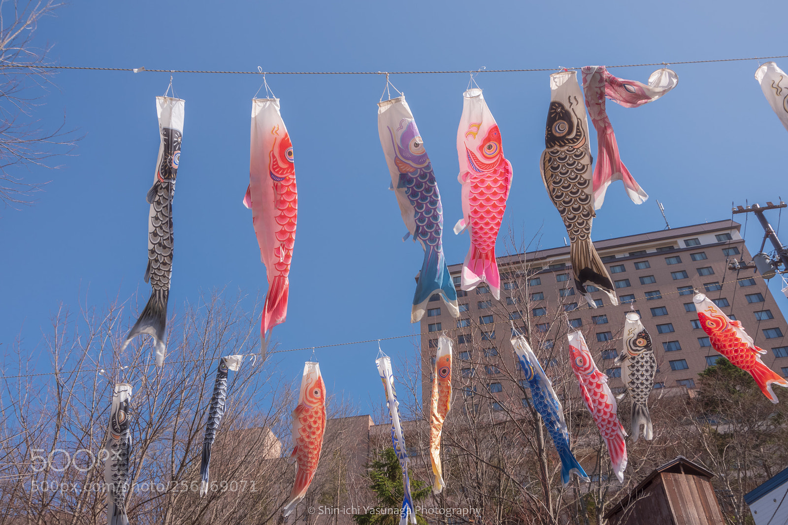 Pentax K-70 sample photo. Carp streamers in the photography
