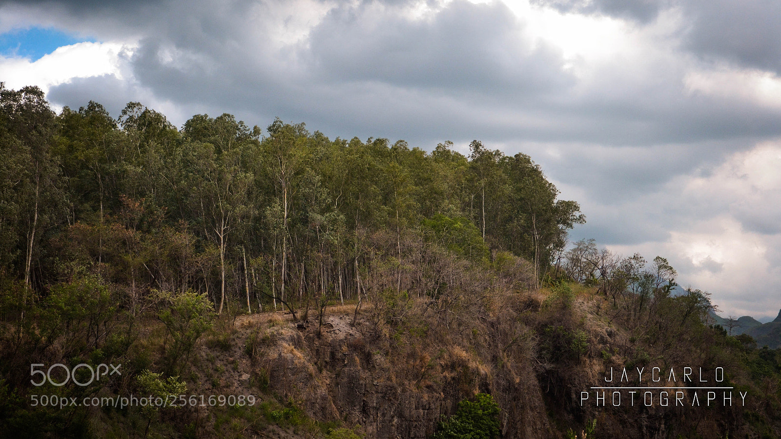 Nikon D3100 sample photo. Forest cliff side photography