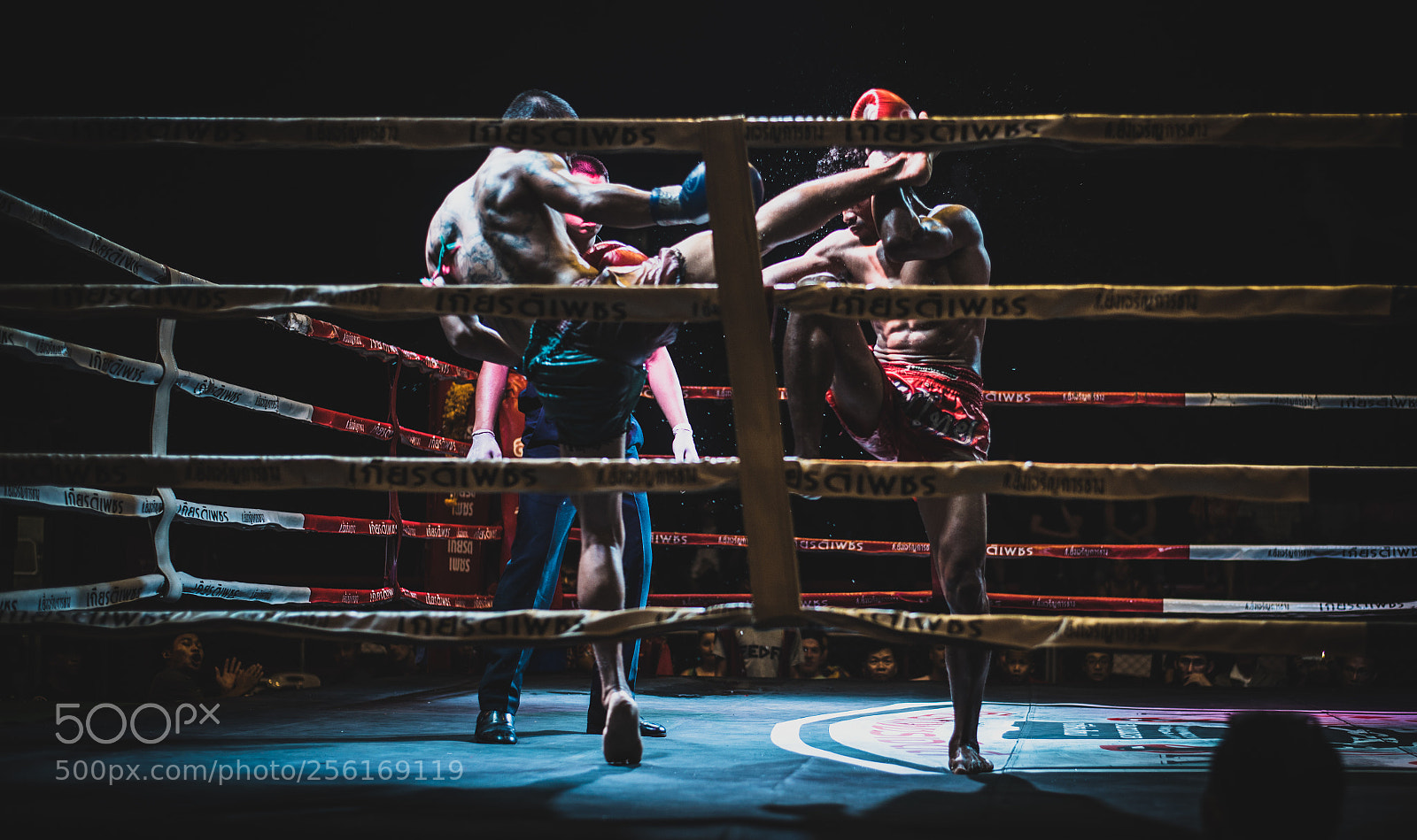Nikon D750 sample photo. Muay thai fight in photography