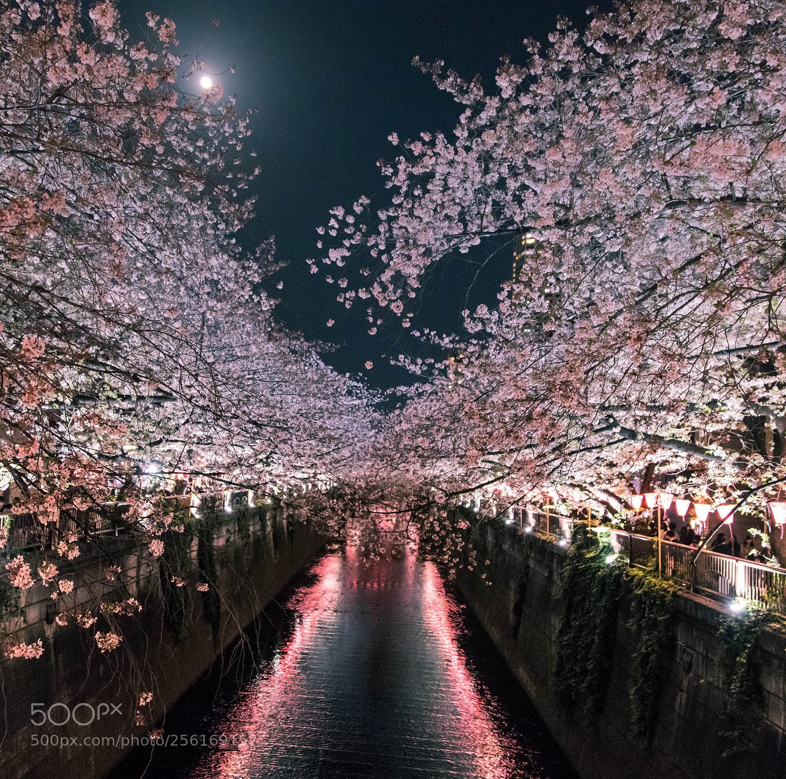 Canon EOS 6D Mark II sample photo. Night river photography