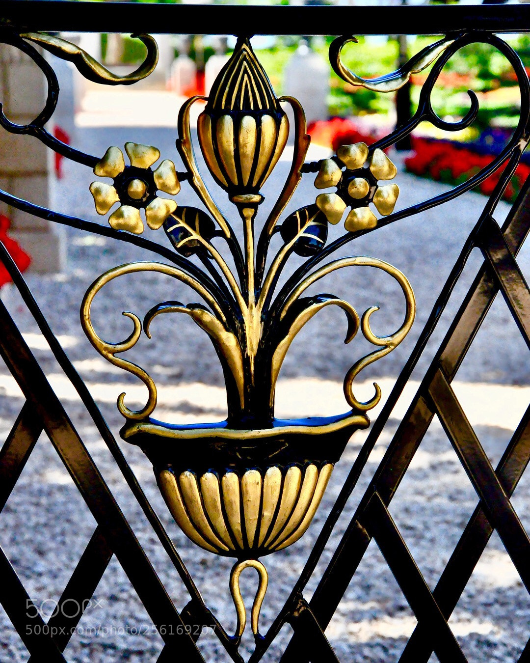 Nikon D90 sample photo. Untitled photography