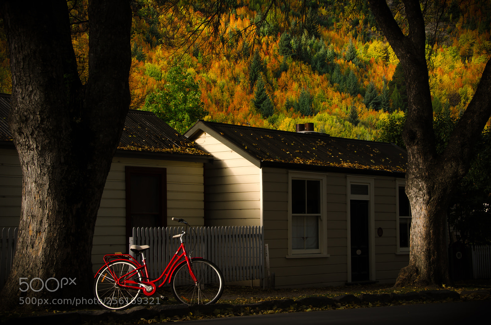 Nikon D7000 sample photo. Autumn in arrowtown, new photography