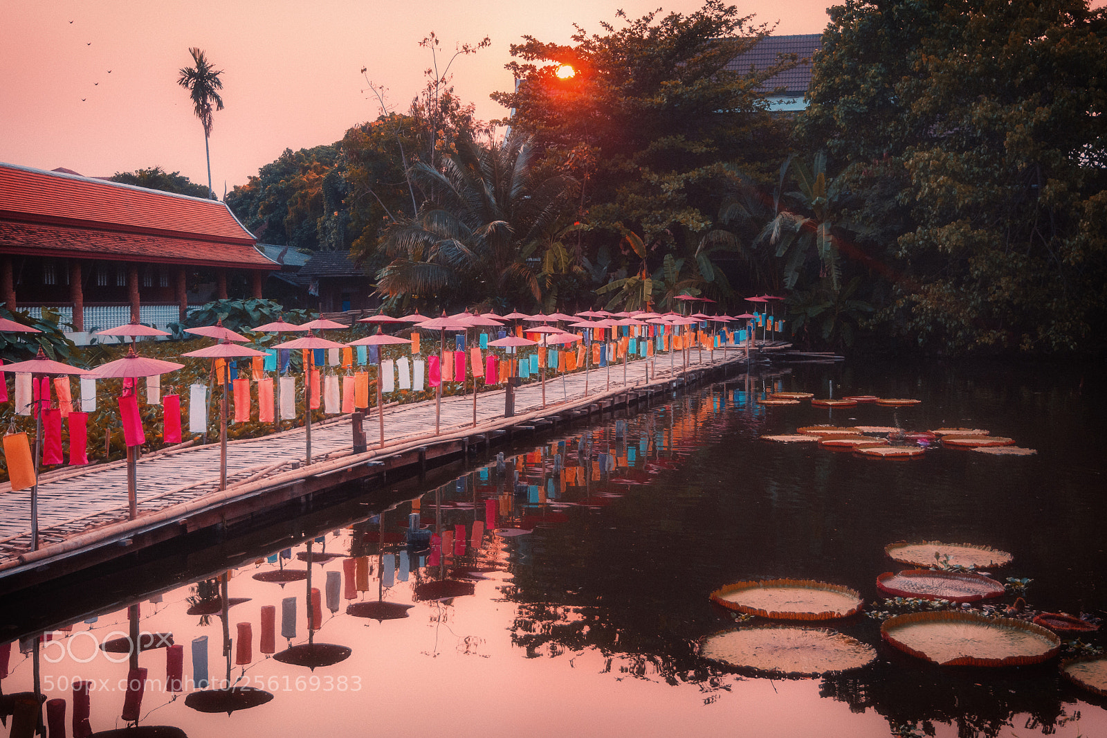 Nikon D7100 sample photo. Chiang mai photography