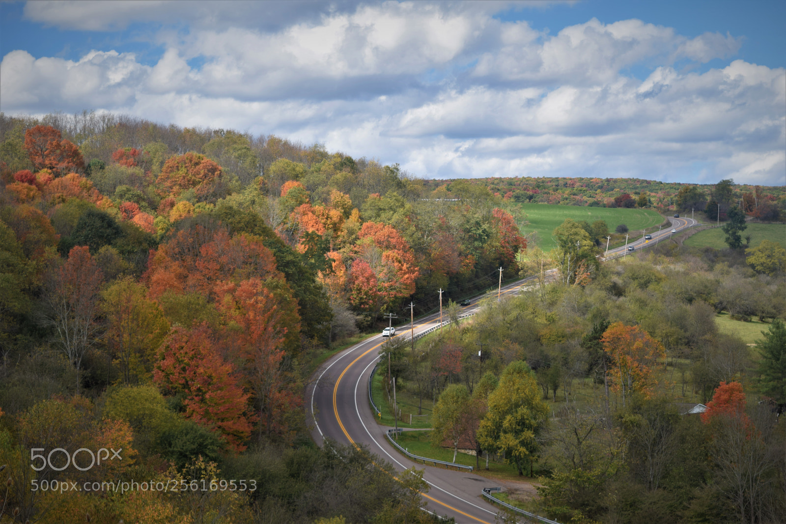 Nikon D3300 sample photo. Fall on rt. 40 photography