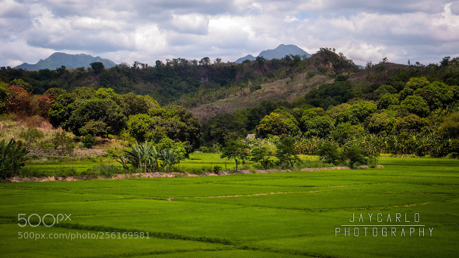 Nikon D3100 sample photo. Flat lands photography