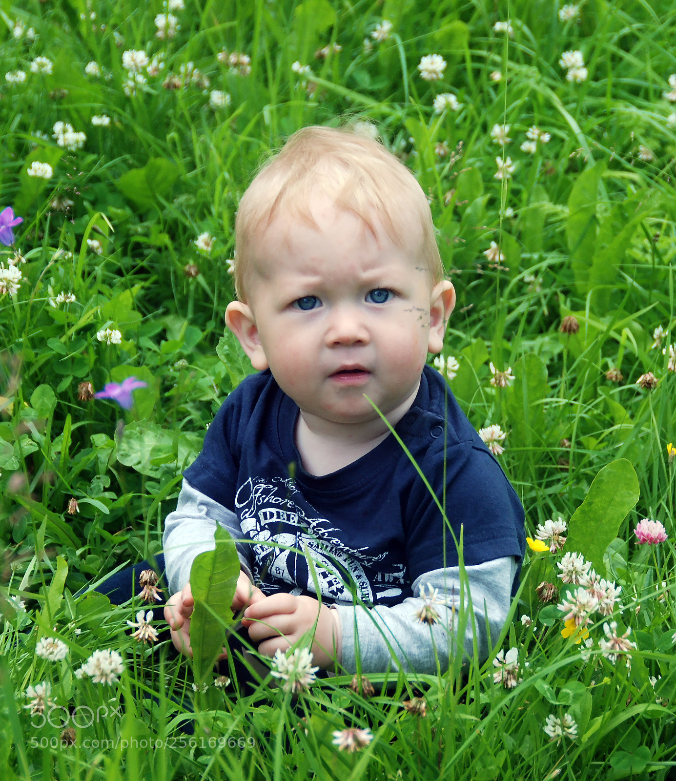 Nikon D80 sample photo. В деревне Ореховно photography