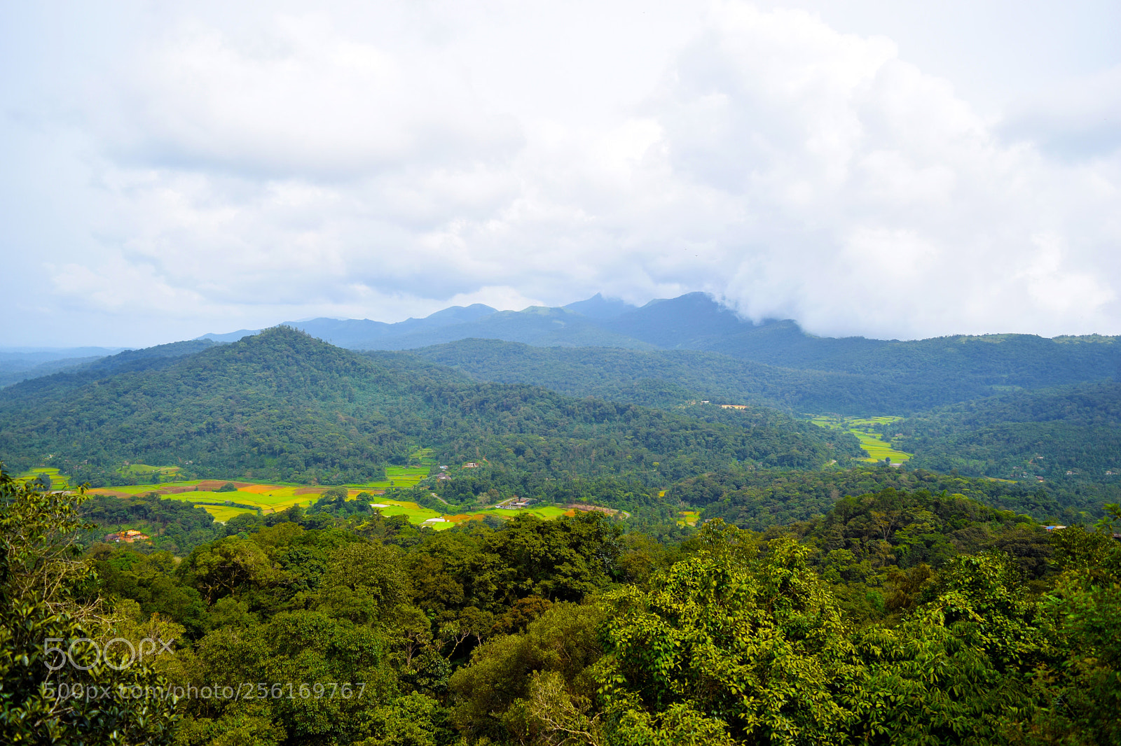 Nikon D3300 sample photo. The valley of green photography