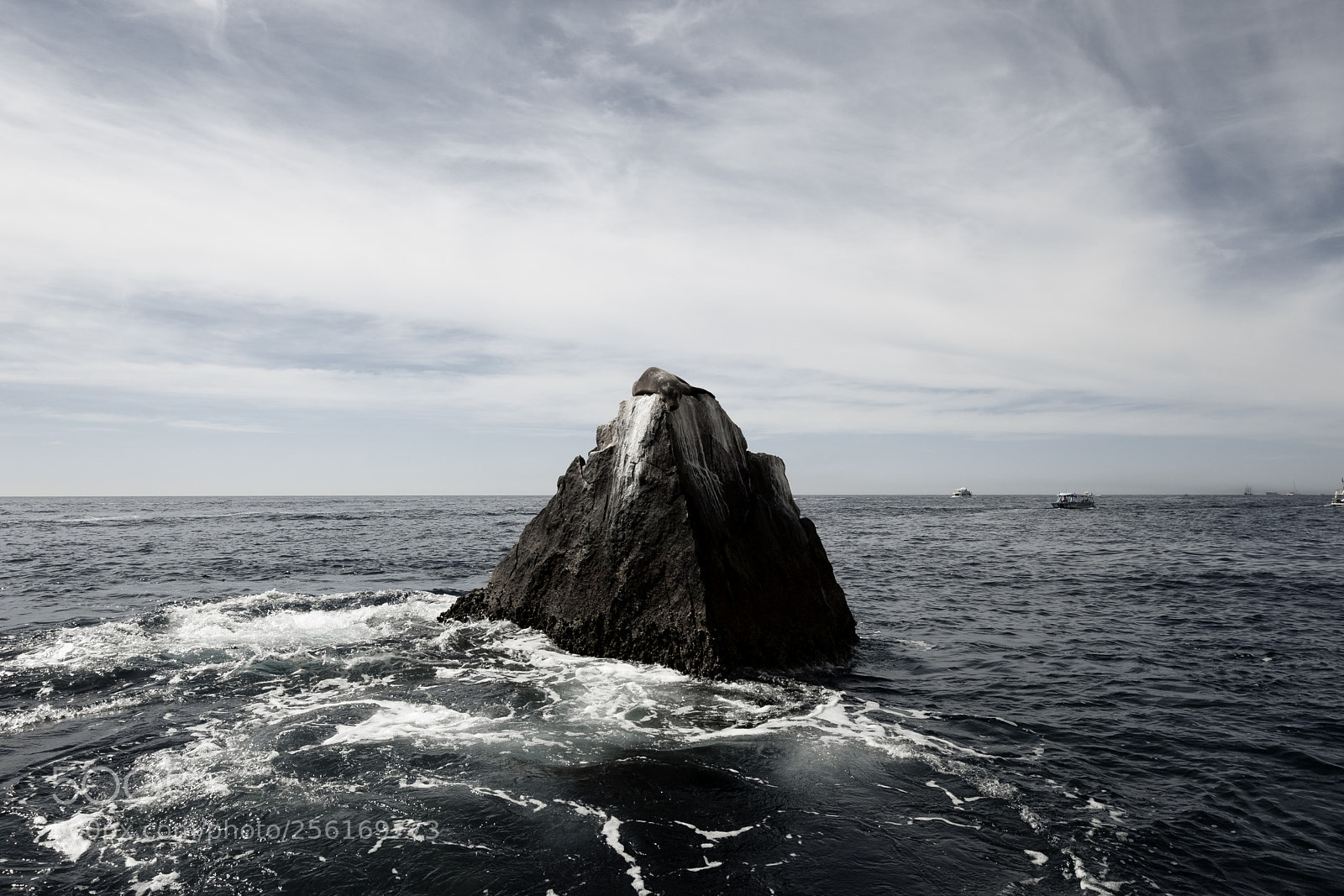Fujifilm X-T2 sample photo. Wildlife in mexico photography