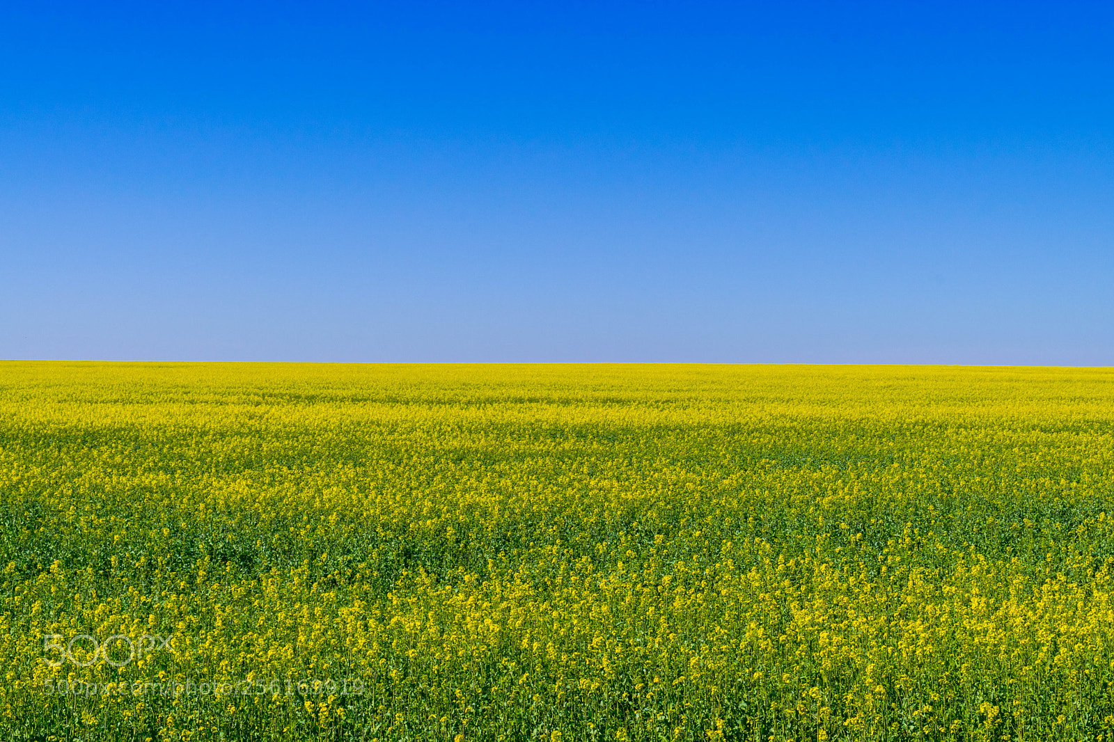 Nikon D3300 sample photo. Ukraine is nature:) photography