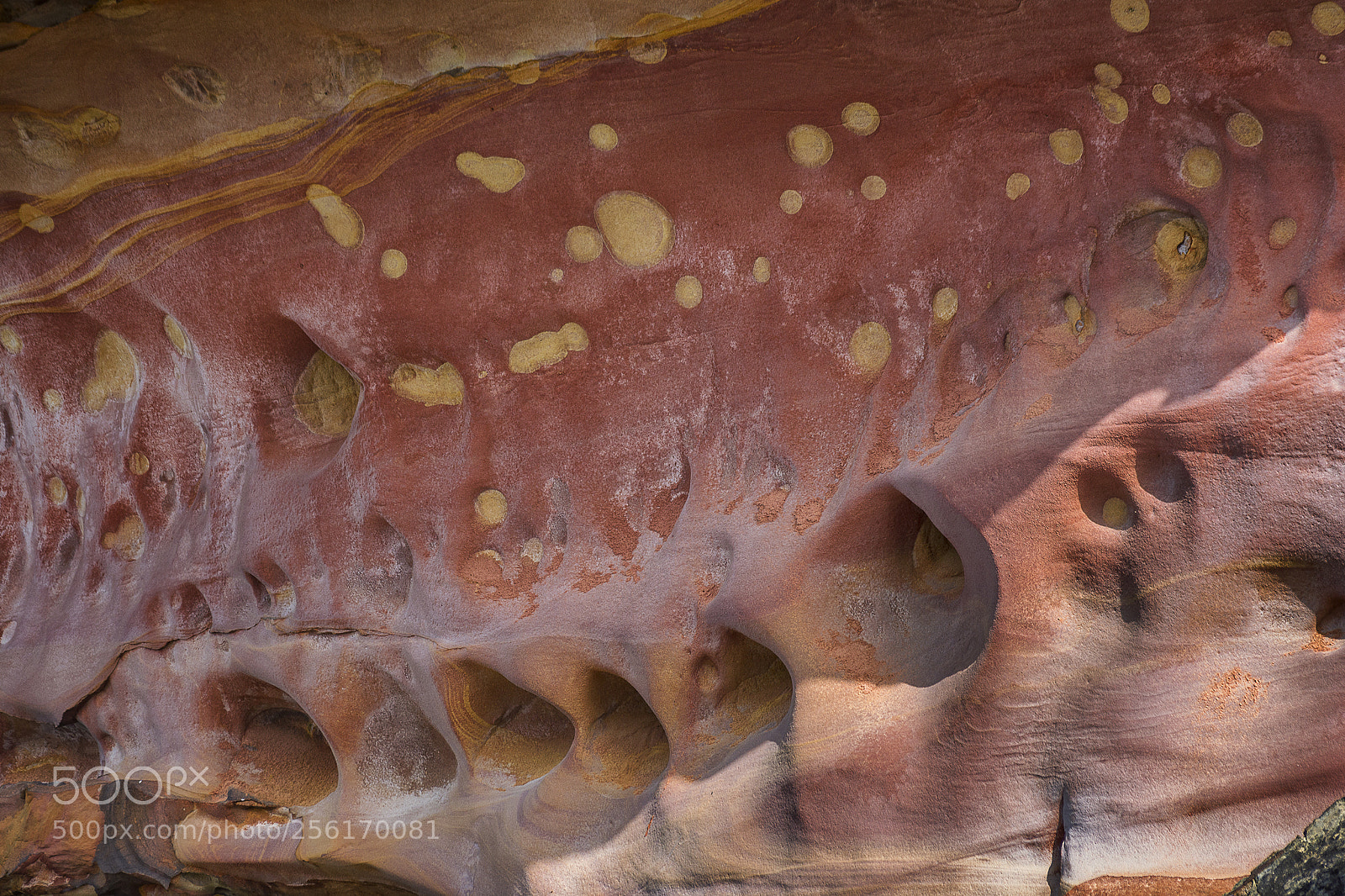 Nikon D5200 sample photo. Textures and shapes of photography