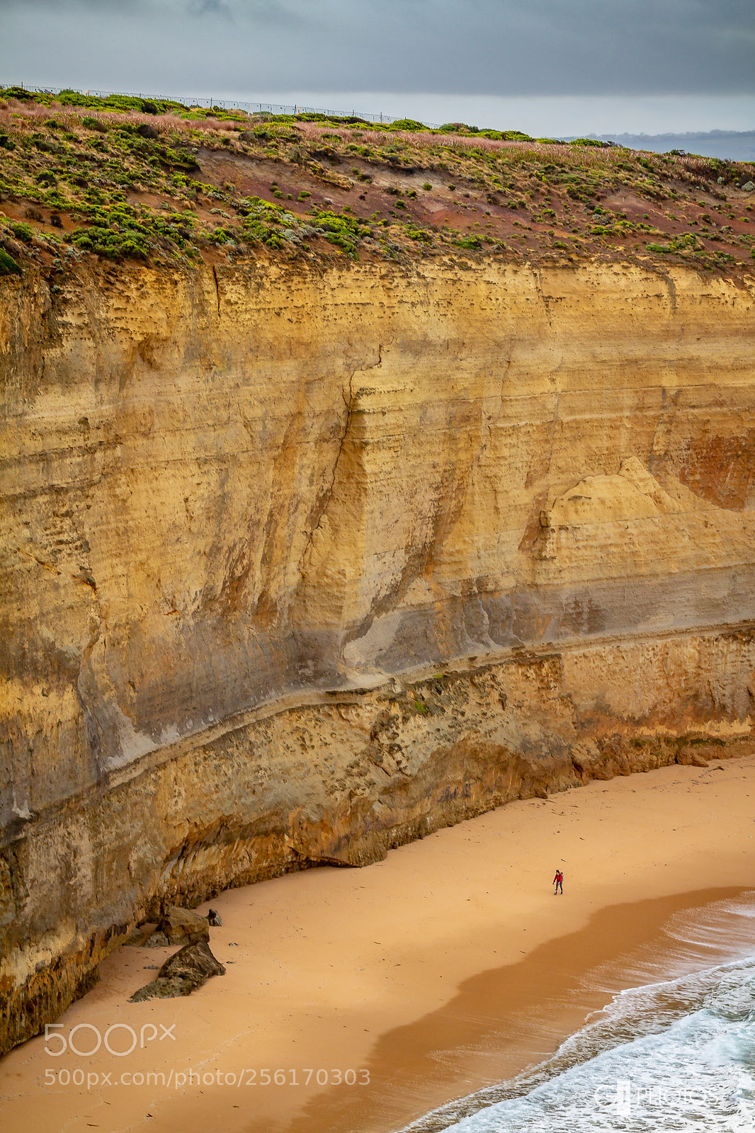 Canon EOS 60D sample photo. Dwarfed photography