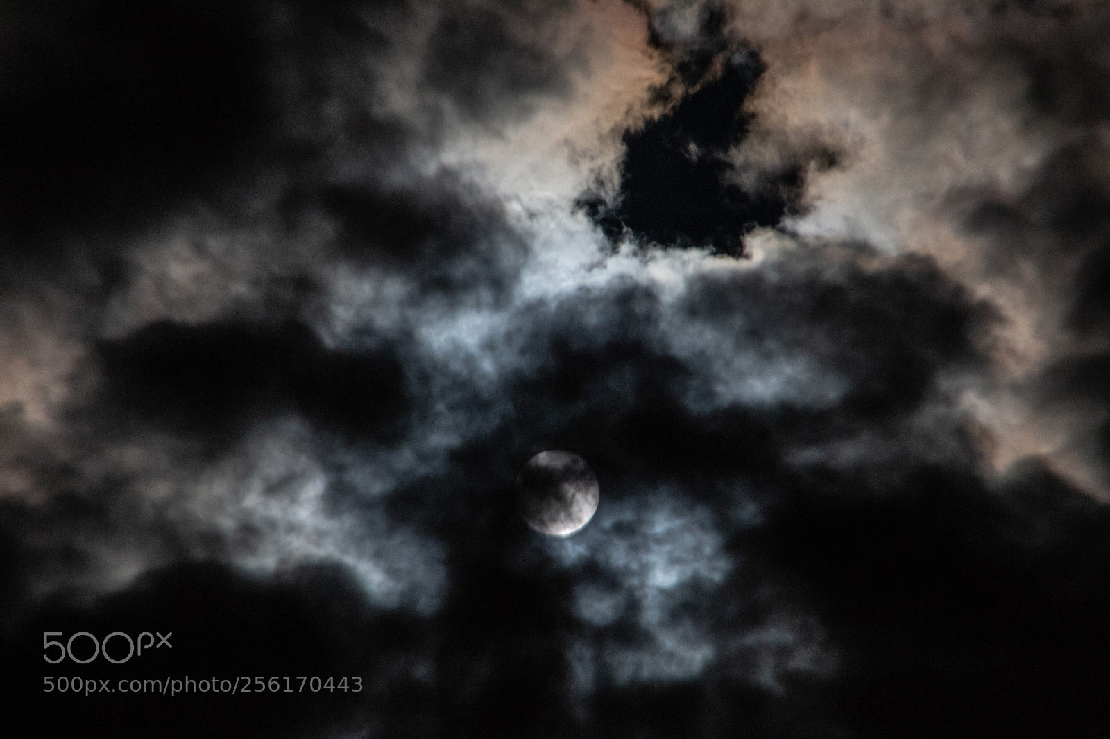 Canon EOS 70D sample photo. Moonlight photography