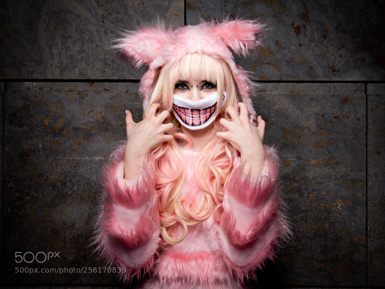 Nikon D800 sample photo. Grinning cat photography