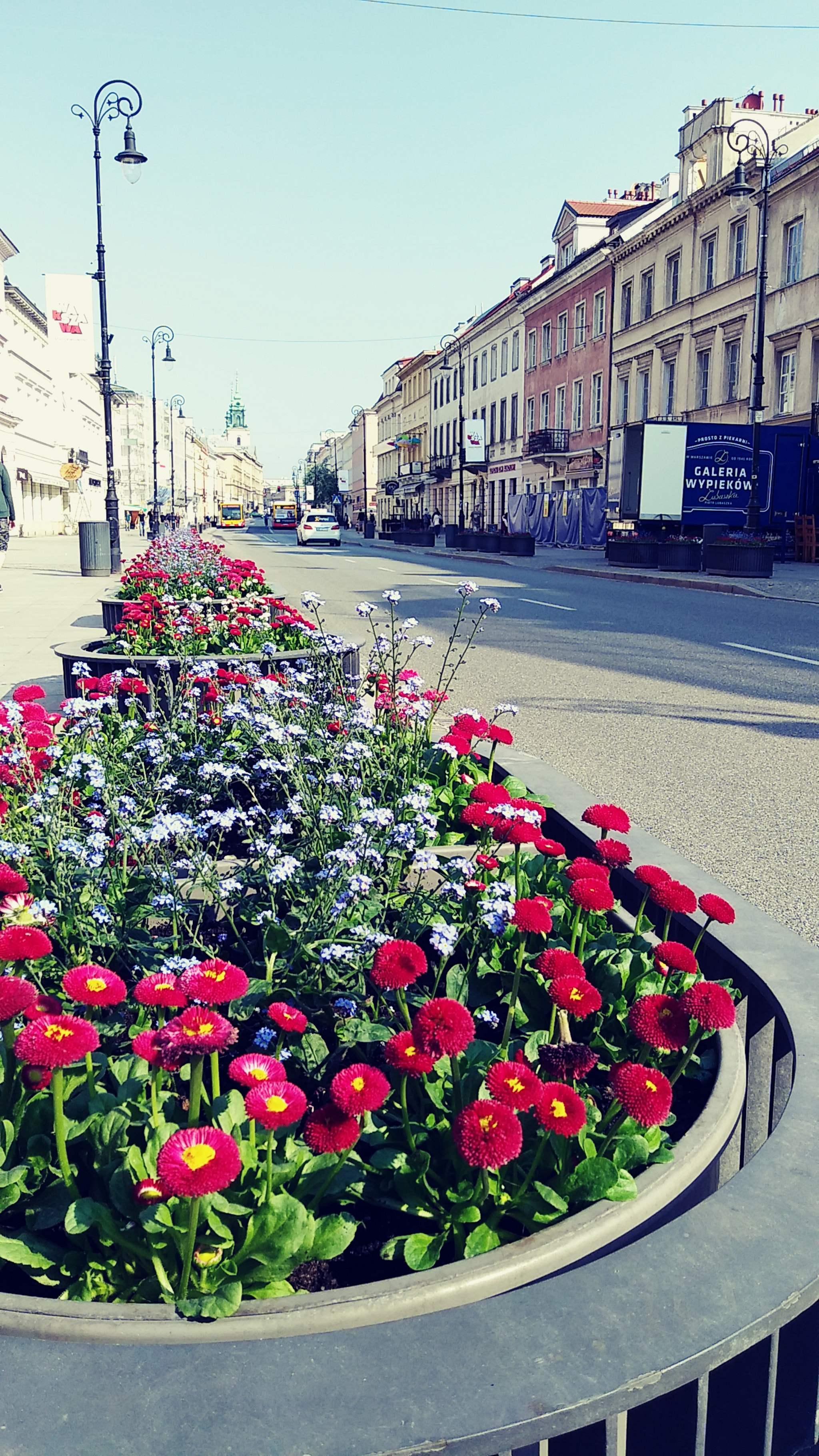 LG Q6 sample photo. Warsaw new world photography