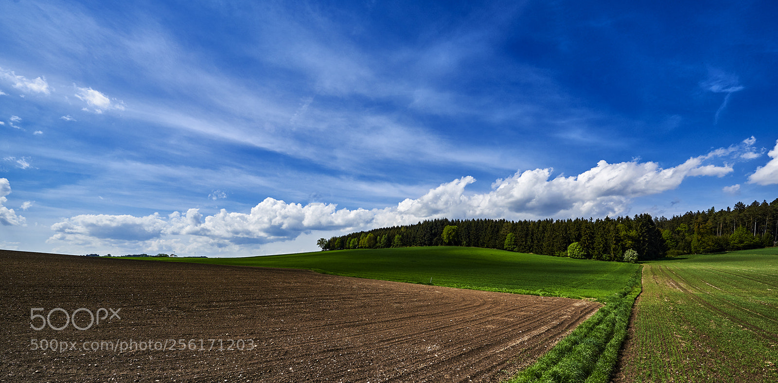 Nikon D750 sample photo. Landscape photography