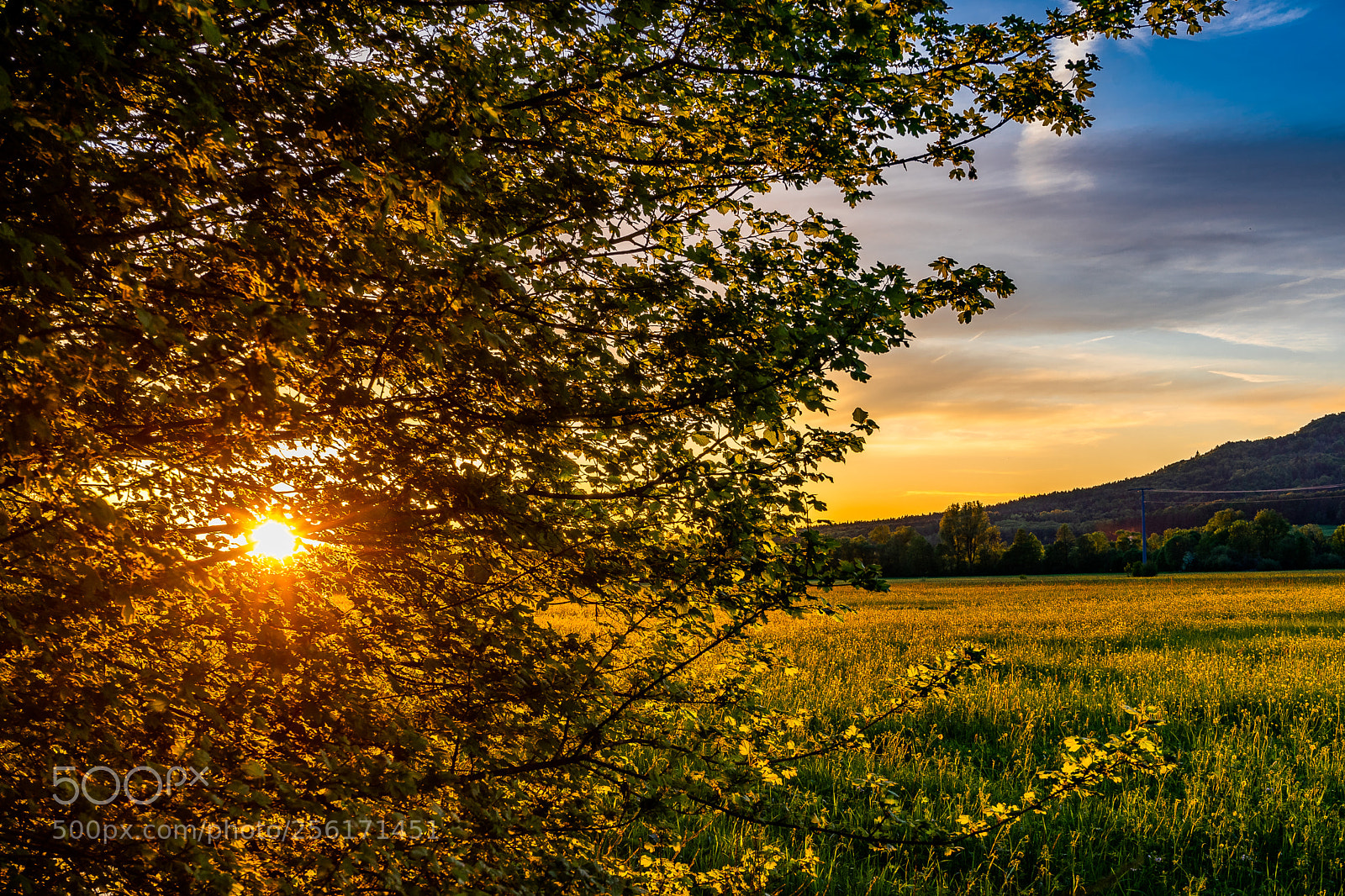 Sony a7 sample photo. When the sun goes photography