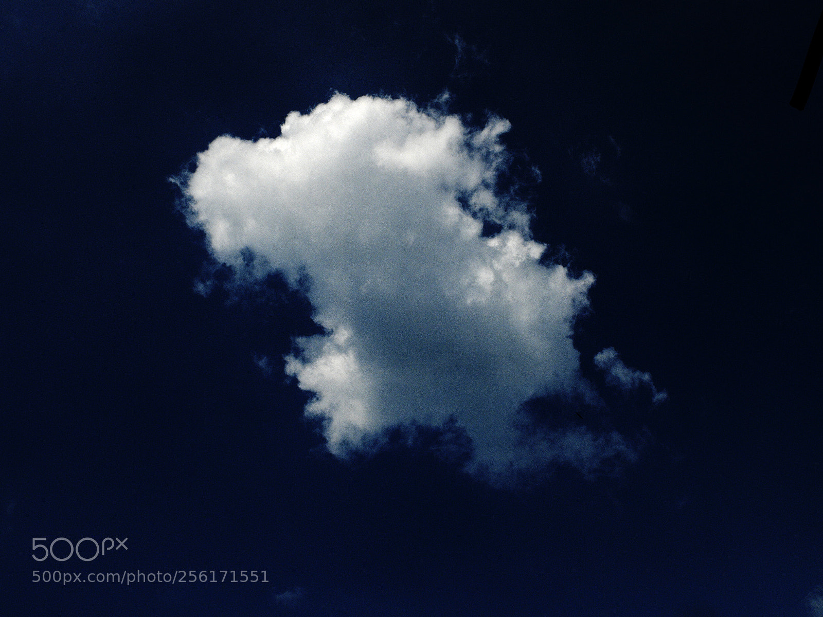 Fujifilm X20 sample photo. Вечные странники  eternal wanderers photography