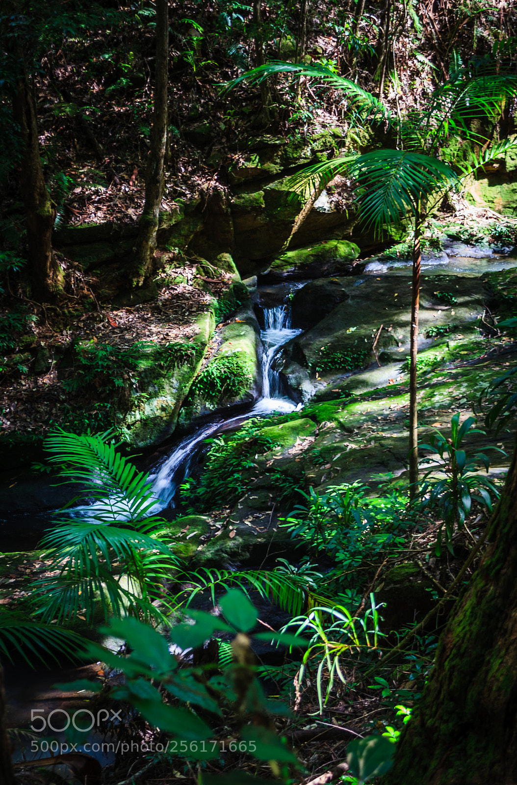 Canon EOS 5D sample photo. Picnic creek flow photography