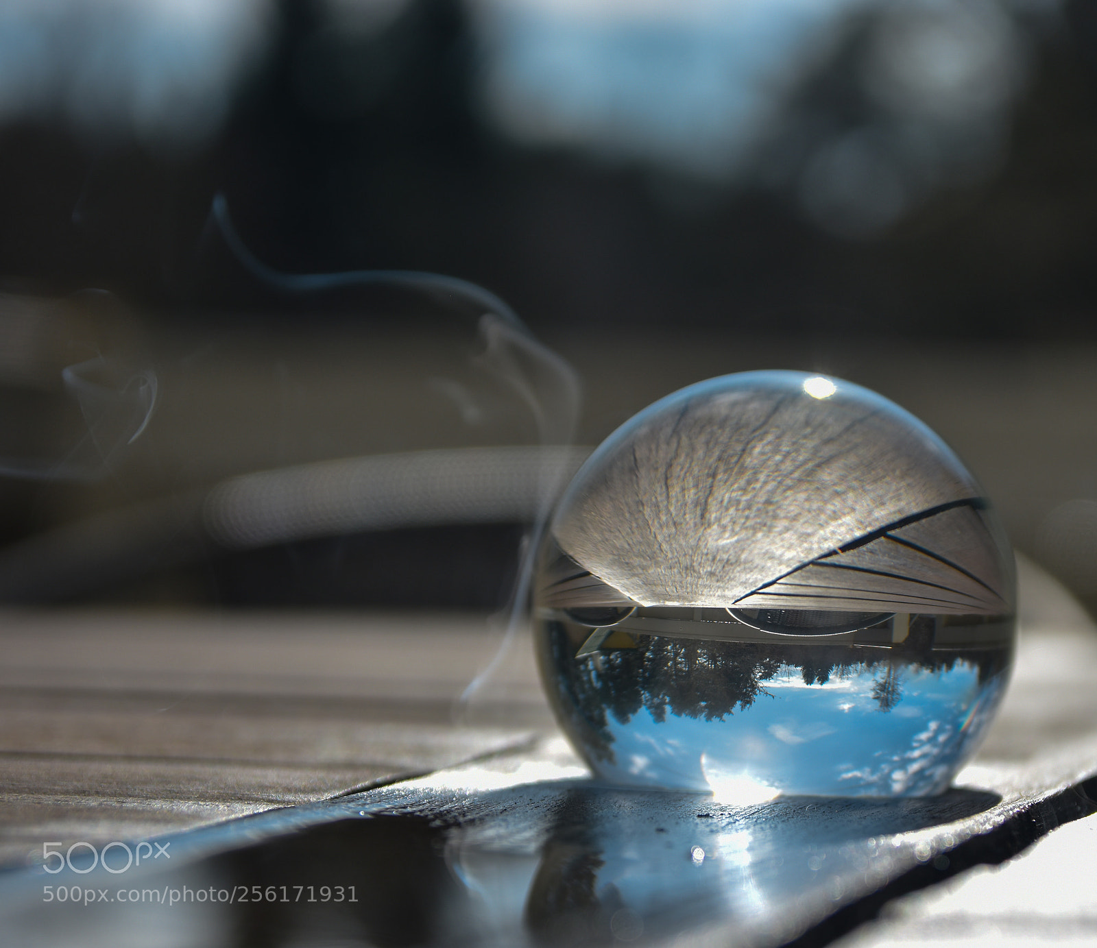 Nikon D5500 sample photo. Untitled photography