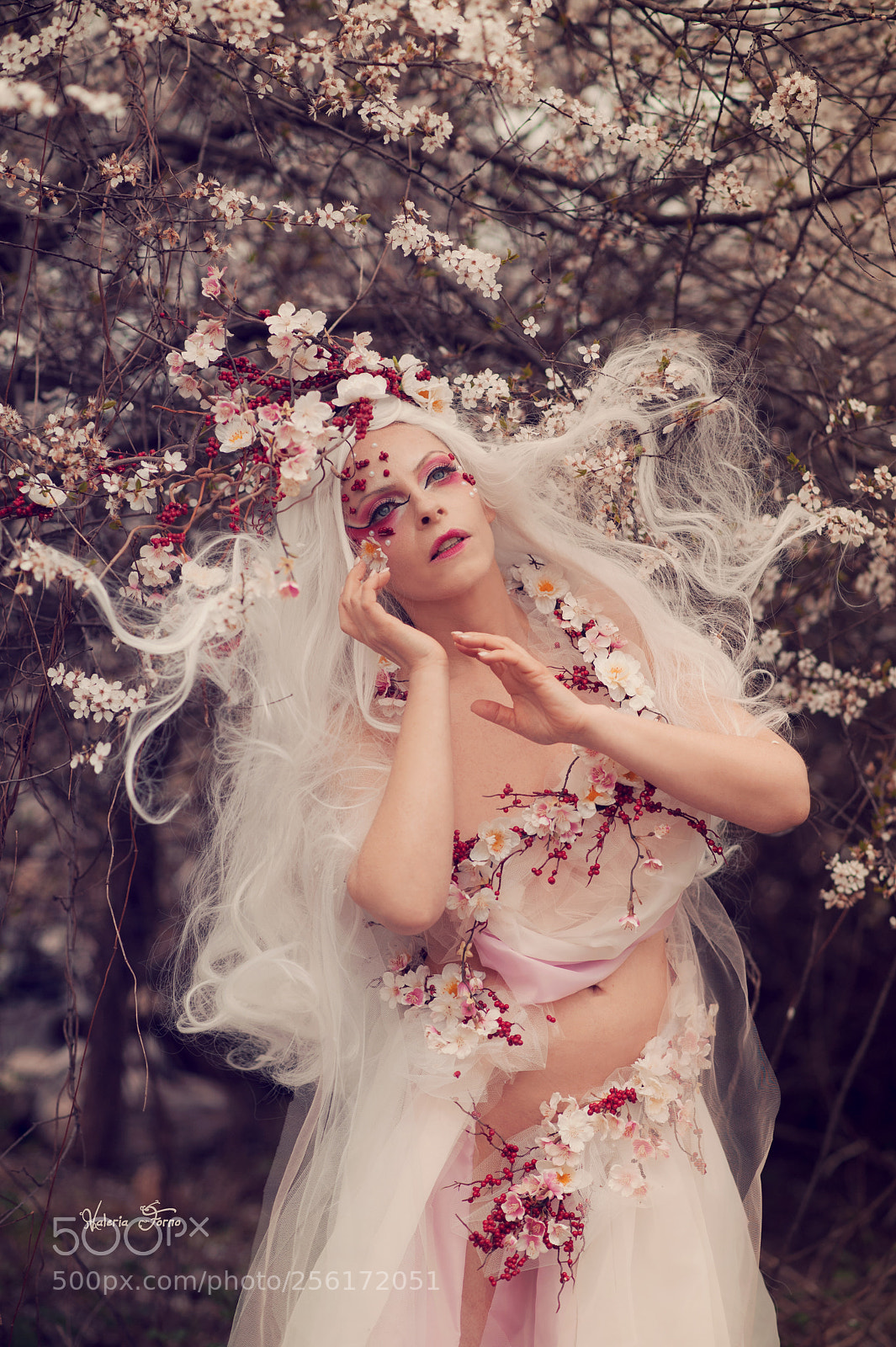 Nikon D700 sample photo. Spirit of spring photography