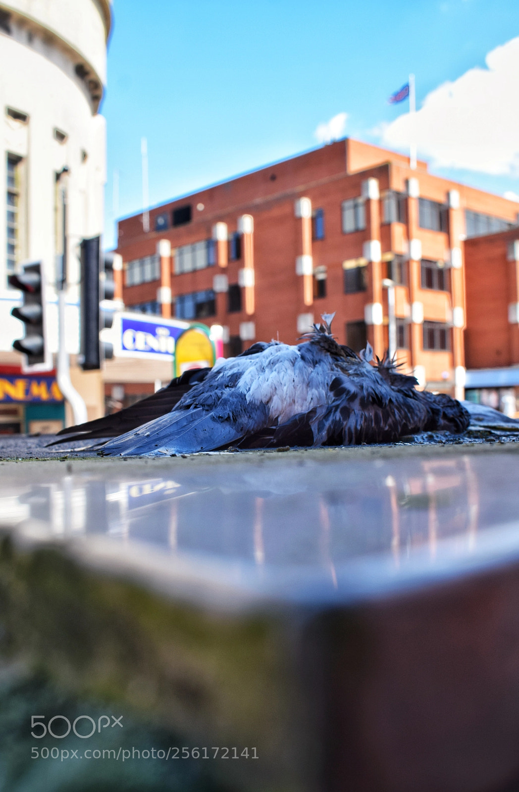 Nikon D5300 sample photo. An anthropogenic urban skyline photography