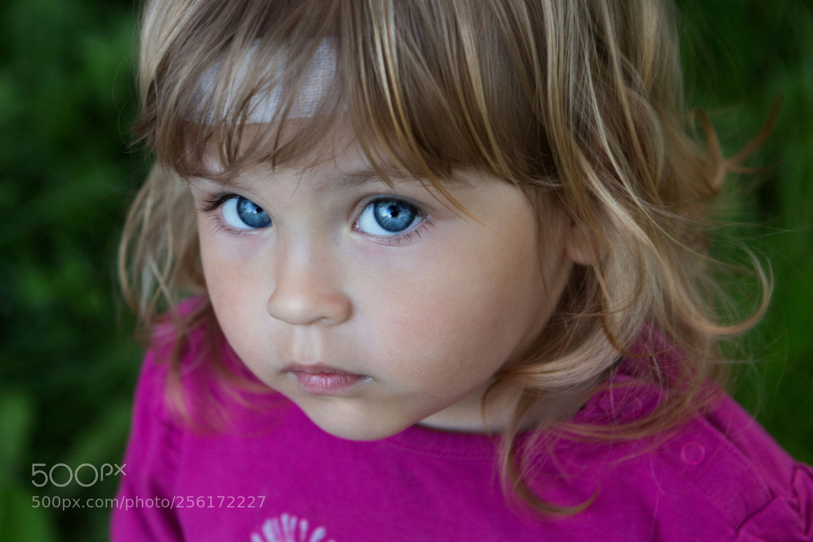 Canon EOS 650D (EOS Rebel T4i / EOS Kiss X6i) sample photo. Close-up portrait of a photography
