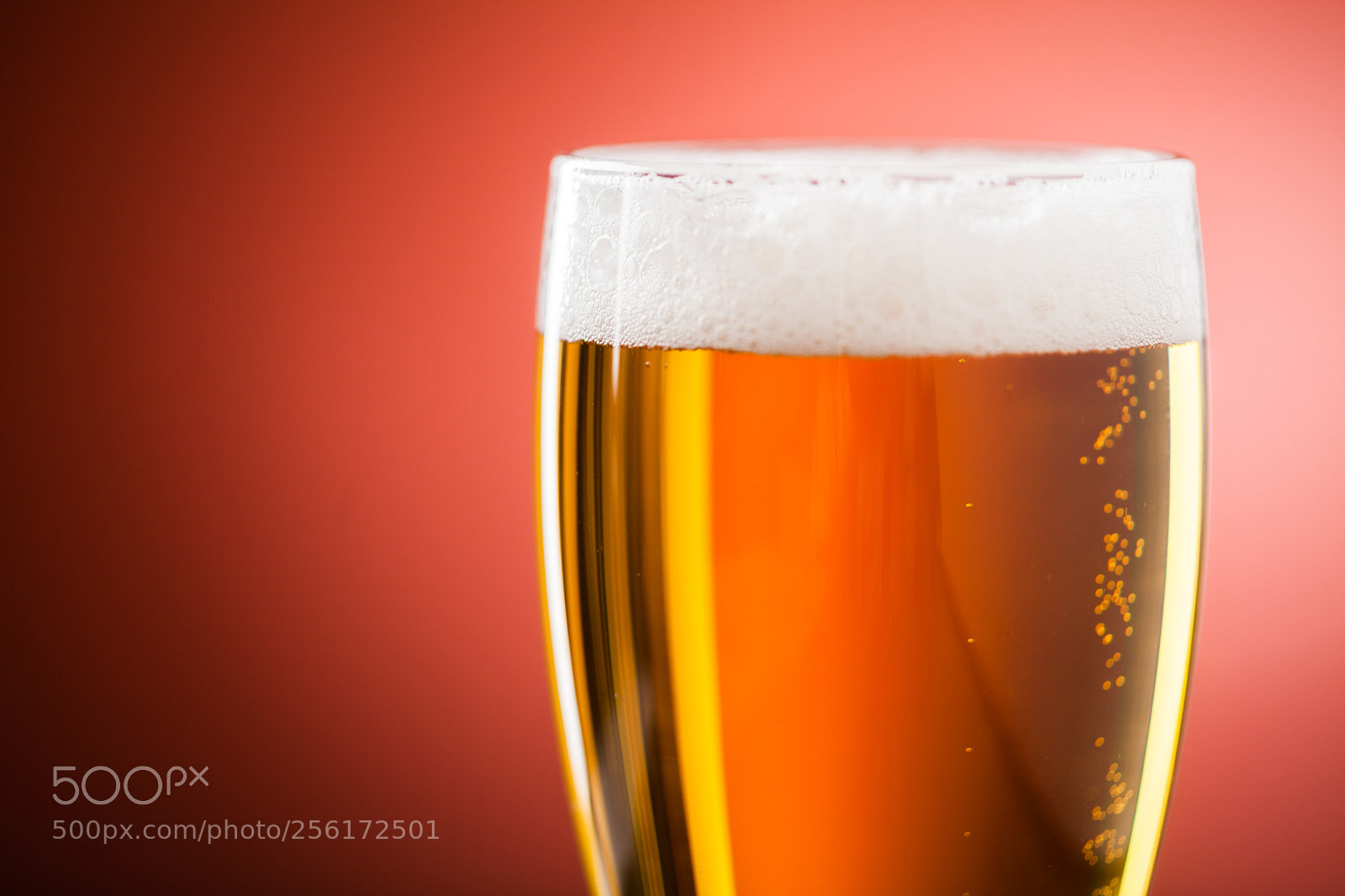Canon EOS 5D Mark II sample photo. Pint of beer photography