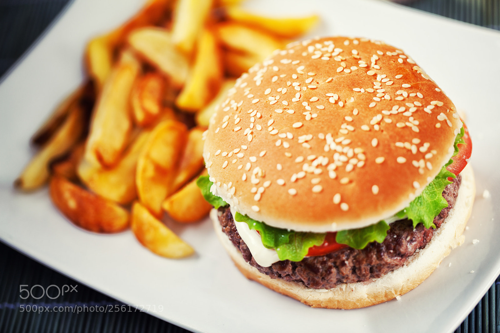 Canon EOS 5D Mark II sample photo. Fresh hamburger with fries photography