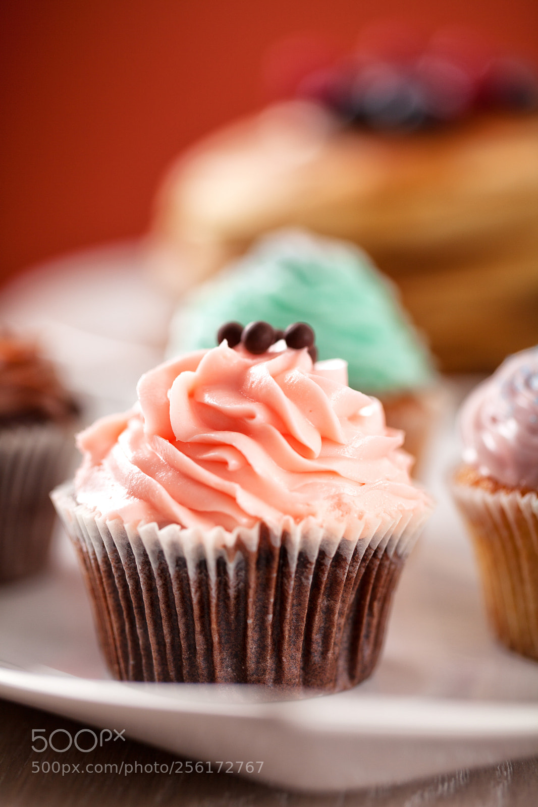 Canon EOS 5D Mark II sample photo. Mixed cupcake photography