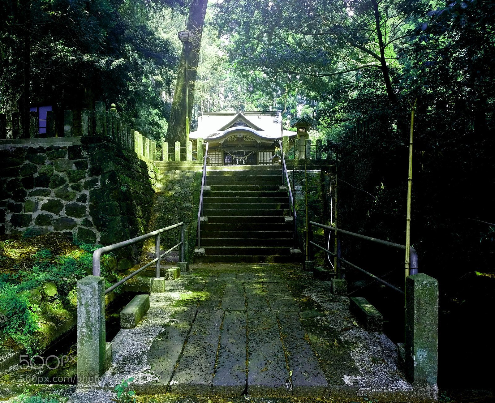Samsung Galaxy S7 Edge sample photo. 西野宮神社 -nishinomiya  shinto shrine- photography