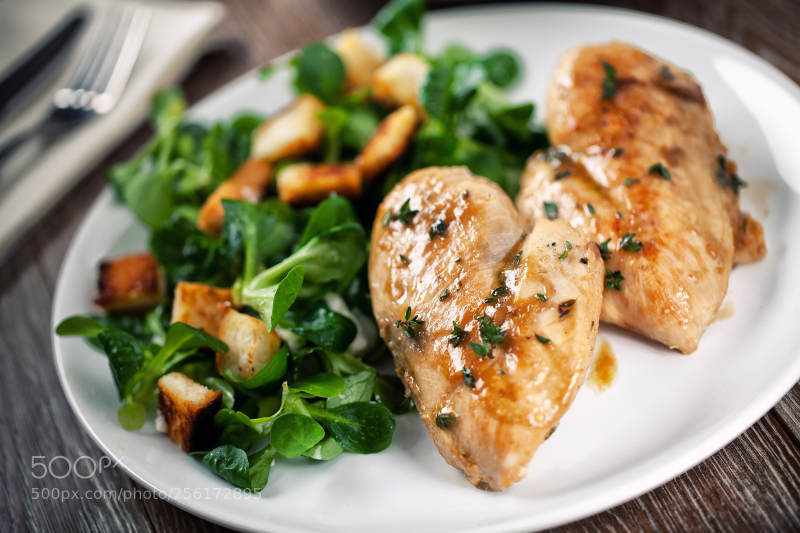 Canon EOS 5D Mark II sample photo. Grilled chicken breast with photography