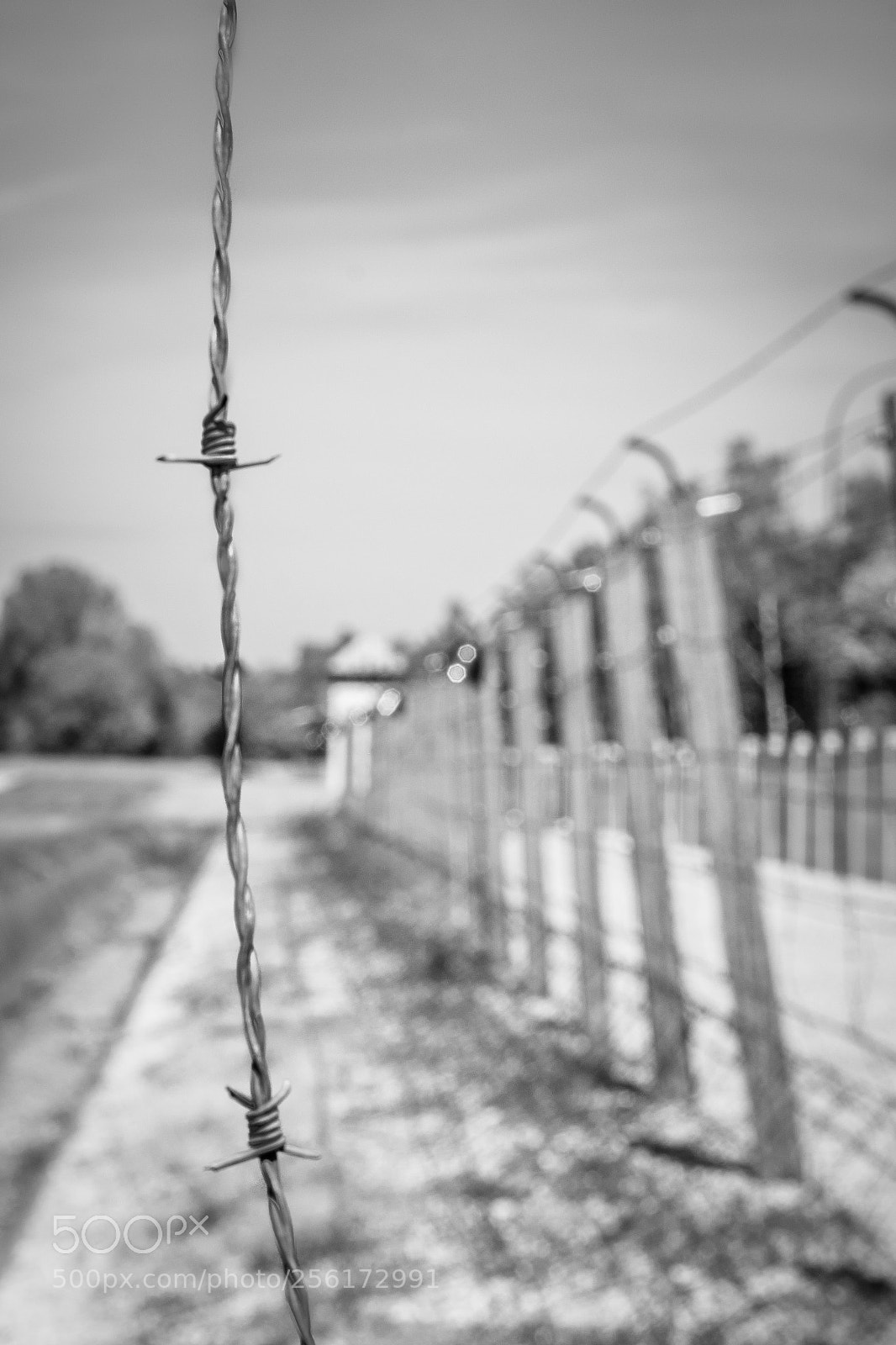 Fujifilm X-T1 sample photo. Old wire, dangerous ideology photography