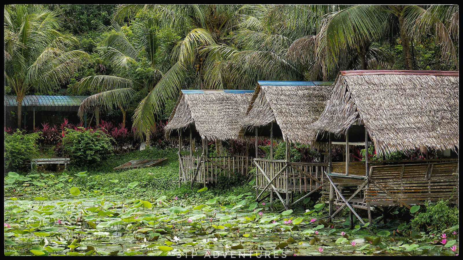 Sony Alpha NEX-5N sample photo. Rumah atap photography