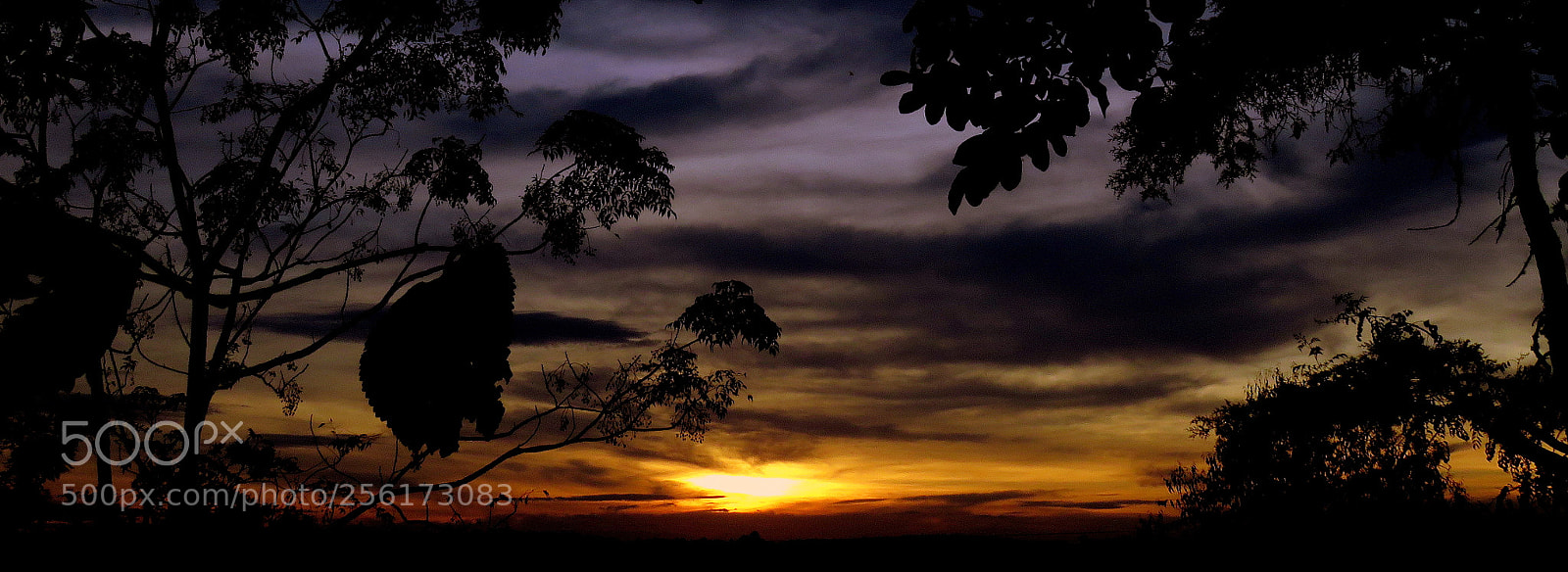 Canon PowerShot SX60 HS sample photo. New day .... photography