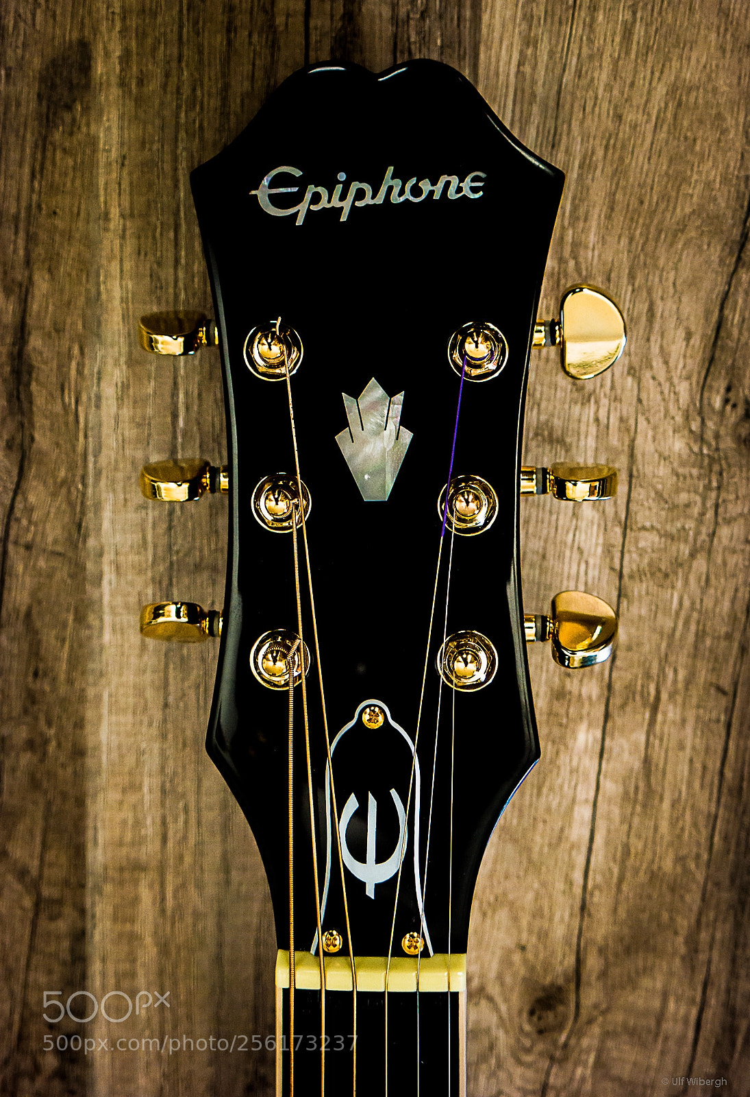 Samsung NX300 sample photo. The head of epiphone photography